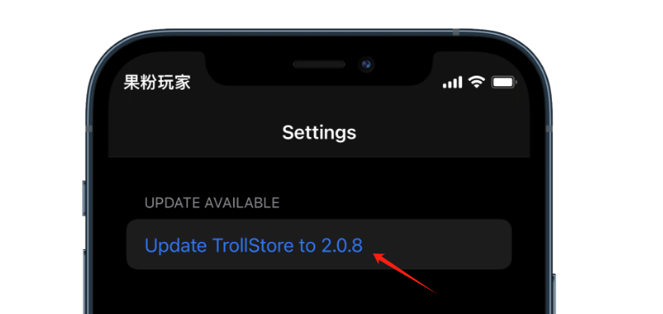 必更，TrollStore2.0.8修复断网，闪退