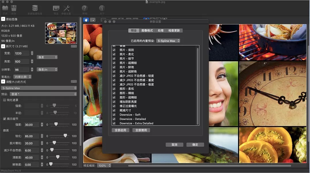 PhotoZoom Pro v8.1专业破解版+Photoshop插件版