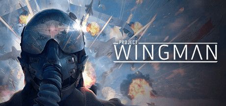 僚机计划 v0.40.20.1210.3303（Project Wingman）免安装中文版 