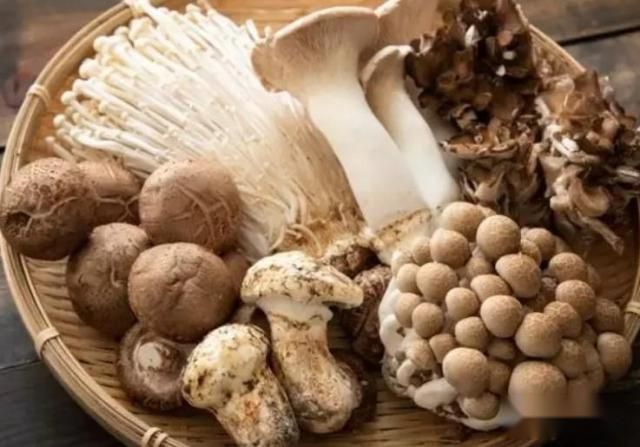 胃不太好应该吃什么食物