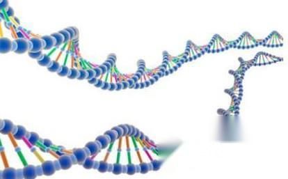 为什么男孩更容易得自闭症