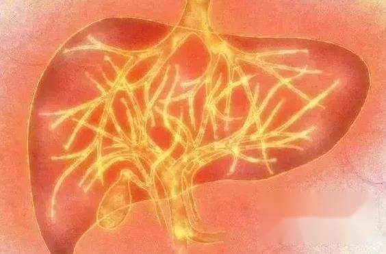 肝火旺有什么危害,肝火旺如何调理