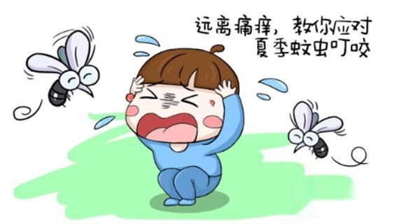 O型血更容易被蚊子叮咬，真的是谣言吗？