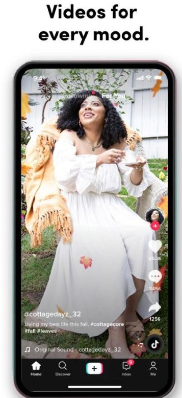 TikTok去广告 无水印下载 全球换区 免拔卡 去限制解锁版 内置模块版